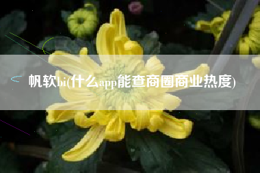 帆软bi(什么app能查商圈商业热度)