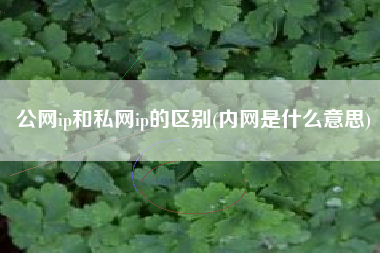 公网ip和私网ip的区别(内网是什么意思)