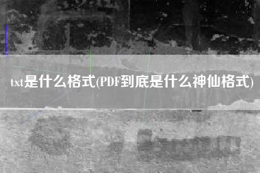 txt是什么格式(PDF到底是什么神仙格式)
