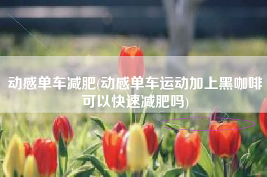 动感单车减肥(动感单车运动加上黑咖啡可以快速减肥吗)
