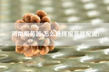 河南服务器(怎么选择服务器配置)