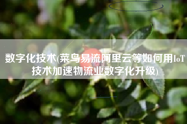 数字化技术(菜鸟易流阿里云等如何用IoT技术加速物流业数字化升级)
