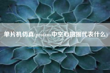 单片机仿真(proteus中空心圆圈代表什么)