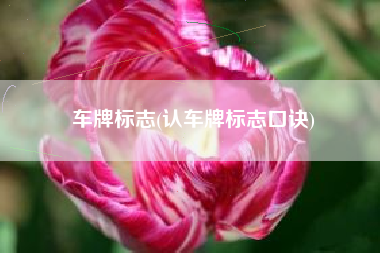 车牌标志(认车牌标志口诀)