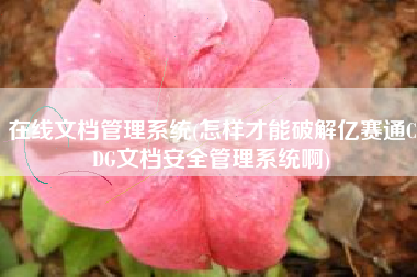 在线文档管理系统(怎样才能破解亿赛通CDG文档安全管理系统啊)