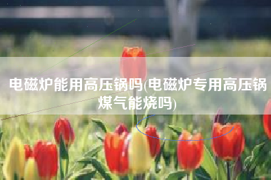 电磁炉能用高压锅吗(电磁炉专用高压锅煤气能烧吗)