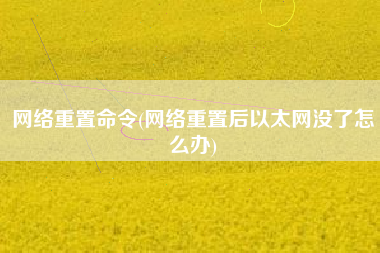 网络重置命令(网络重置后以太网没了怎么办)