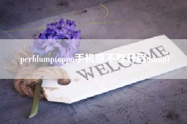 perfdump(oppo手机要不要开启dump)