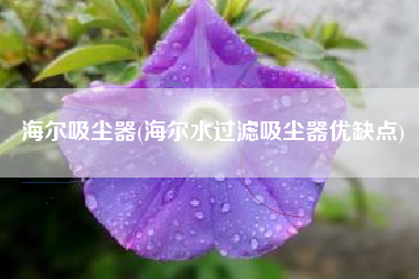 海尔吸尘器(海尔水过滤吸尘器优缺点)