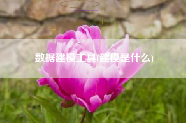 数据建模工具(建模是什么)