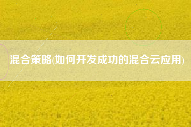 混合策略(如何开发成功的混合云应用)