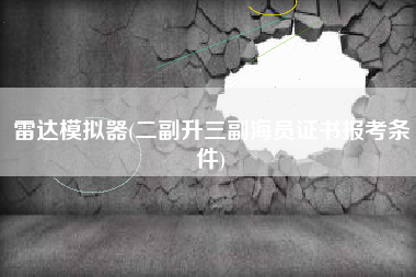 雷达模拟器(二副升三副海员证书报考条件)