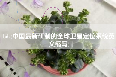 bds(中国最新研制的全球卫星定位系统英文缩写)