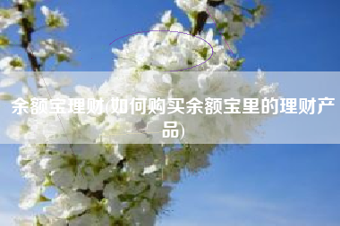 余额宝理财(如何购买余额宝里的理财产品)