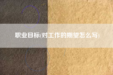 职业目标(对工作的期望怎么写)