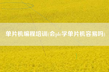 单片机编程培训(会plc学单片机容易吗)