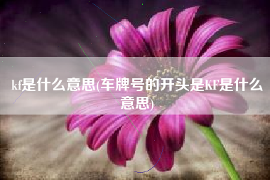 kf是什么意思(车牌号的开头是KF是什么意思)
