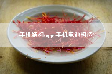 手机结构(oppo手机电池构造)