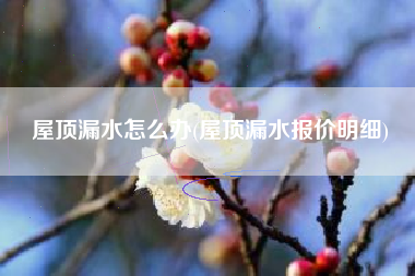 屋顶漏水怎么办(屋顶漏水报价明细)