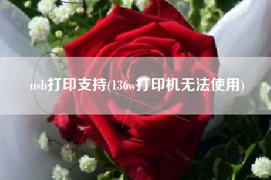 usb打印支持(136w打印机无法使用)