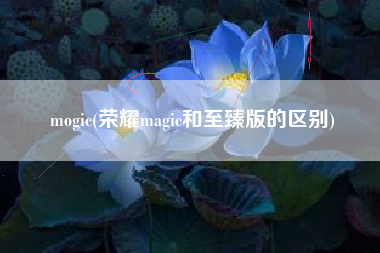 mogic(荣耀magic和至臻版的区别)