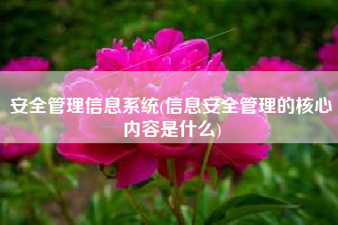 安全管理信息系统(信息安全管理的核心内容是什么)