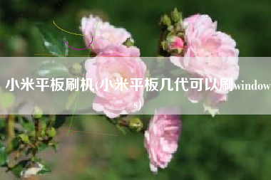 小米平板刷机(小米平板几代可以刷windows)