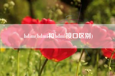 hdim(hdmi和hdmi接口区别)