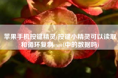 苹果手机按键精灵(按键小精灵可以读取和循环复制excel中的数据吗)