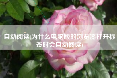 自动阅读(为什么电脑版的浏览器打开标签时会自动阅读)