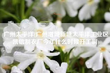 广州太平洋(广州增城新塘太平洋工业区凯信制衣厂今年什么时候开工啊)