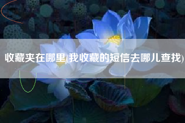 收藏夹在哪里(我收藏的短信去哪儿查找)