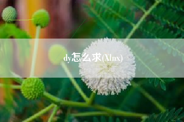 dy怎么求(Xlnx)
