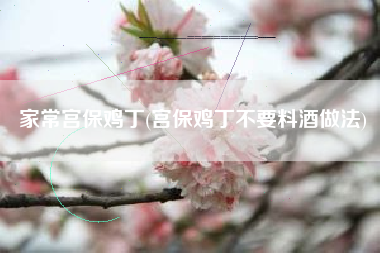 家常宫保鸡丁(宫保鸡丁不要料酒做法)