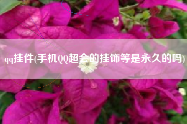 qq挂件(手机QQ超会的挂饰等是永久的吗)