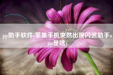 pp助手软件(苹果手机突然出现闪退助手app是啥)