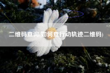 二维码查询(如何查行动轨迹二维码)