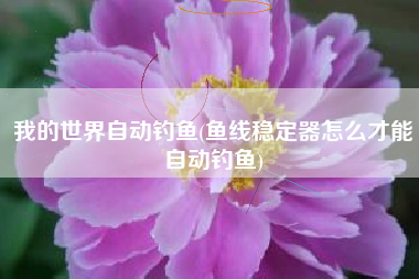 我的世界自动钓鱼(鱼线稳定器怎么才能自动钓鱼)