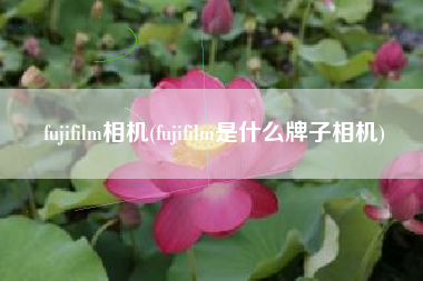 fujifilm相机(fujifilm是什么牌子相机)