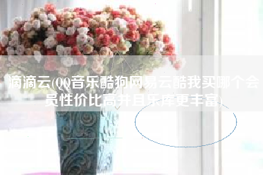 滴滴云(QQ音乐酷狗网易云酷我买哪个会员性价比高并且乐库更丰富)