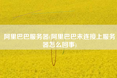阿里巴巴服务器(阿里巴巴未连接上服务器怎么回事)