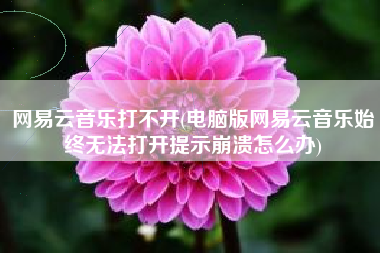 网易云音乐打不开(电脑版网易云音乐始终无法打开提示崩溃怎么办)