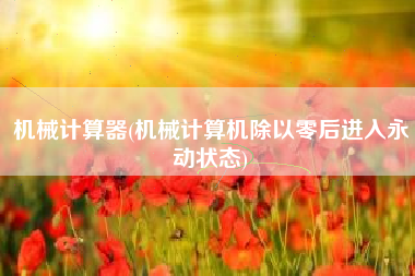 机械计算器(机械计算机除以零后进入永动状态)