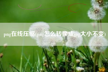 png在线压缩(png怎么转换成jpg大小不变)