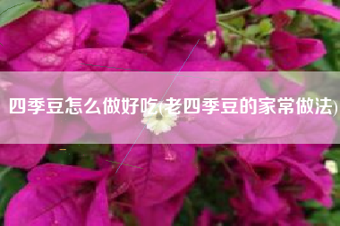 四季豆怎么做好吃(老四季豆的家常做法)