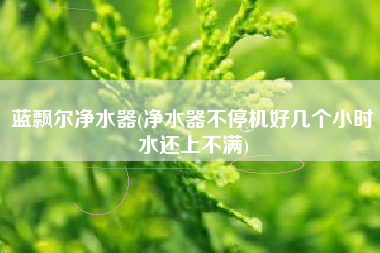 蓝飘尔净水器(净水器不停机好几个小时水还上不满)