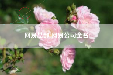 网易总部(网易公司全名)
