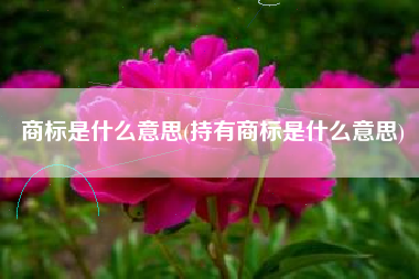 商标是什么意思(持有商标是什么意思)