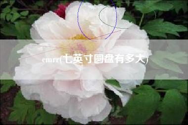 cmrr(七英寸圆盘有多大)