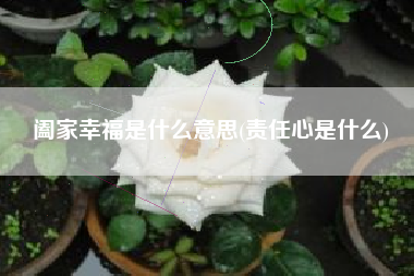 阖家幸福是什么意思(责任心是什么)